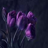 13025