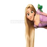 11291