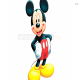 11562