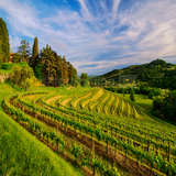 40052