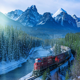 90035